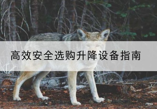 石峰升降货梯厂家推荐-*安全选购升降设备指南