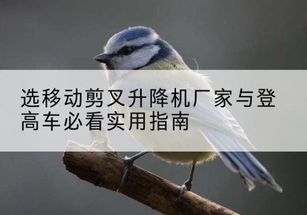 石峰电动升降机厂家-选移动剪叉升降机厂家与登高车必看实用指南